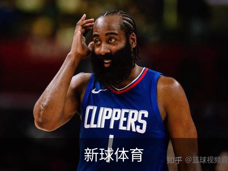关于新球体育